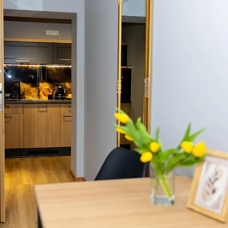 公寓 Alfa Przy Dworcu Wrzeszcz 格但斯克